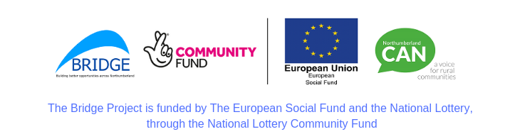 Join the Rural Employment Hubs Delivering the Bridge Project Team